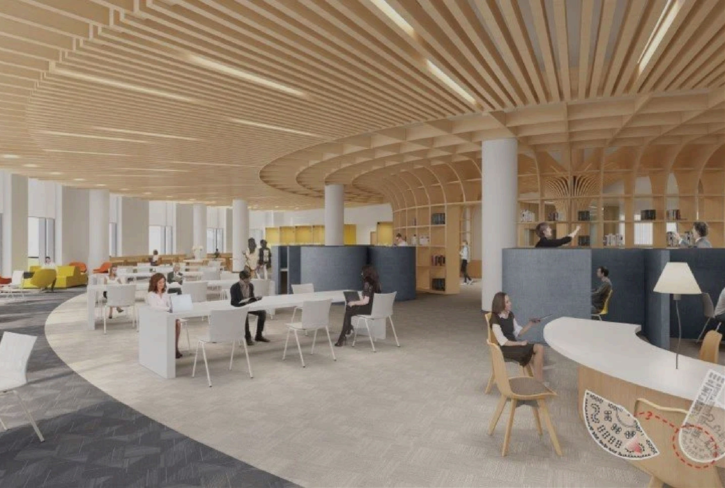 Contemporary workplace with timber ceiling